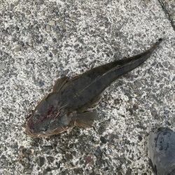 久しぶりの大物(^^)