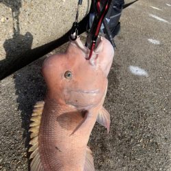 タンコブゲーム