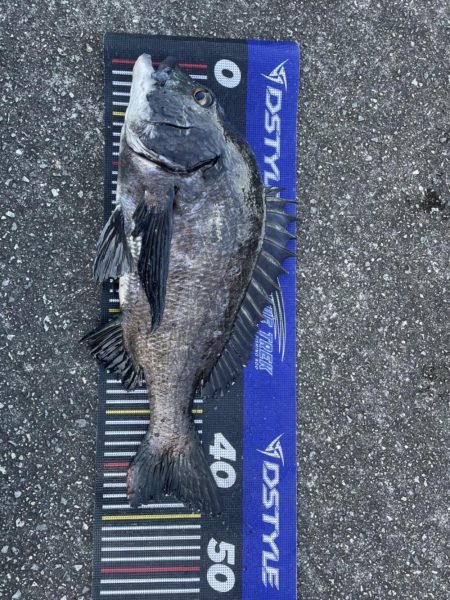 イチノ兄弟、釣果！