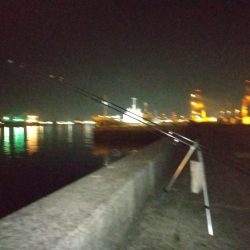 アナゴ狙いに行ったが・・・