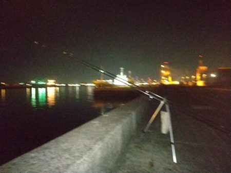 アナゴ狙いに行ったが・・・