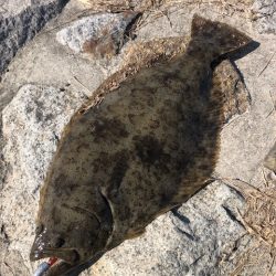 バルトの威力Ⅱ(丸飲み)