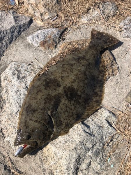 バルトの威力Ⅱ（丸飲み）