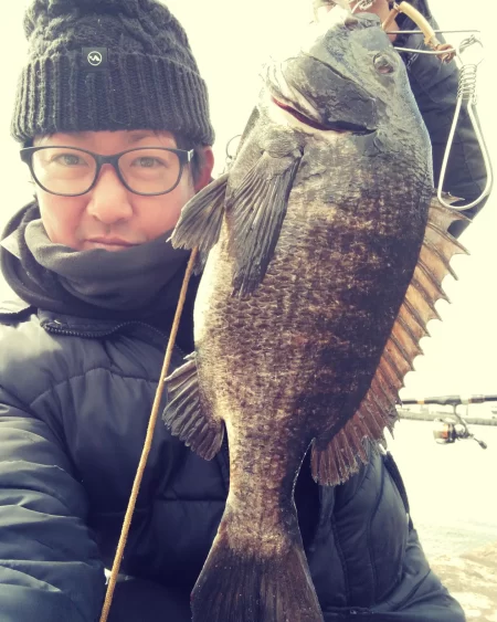 撒きに行ってきました