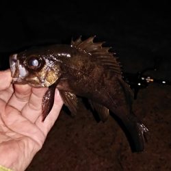 まさかの悪天候