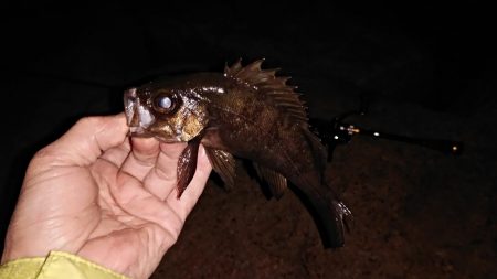 まさかの悪天候