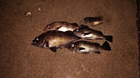 プラグでゲット