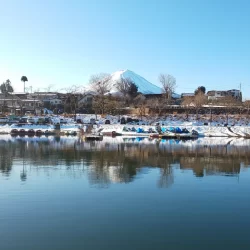 河口湖さかなやドームワカサギ釣り
