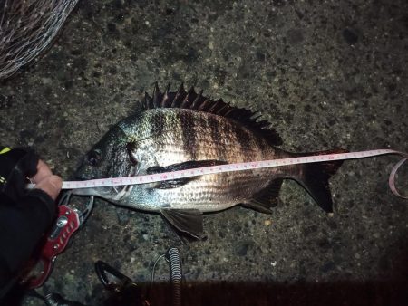 2022/02/26 南港ヘチ釣り釣行