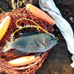 フカセ‥最高ですネ・・