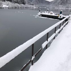 余呉湖ワカサギ釣り