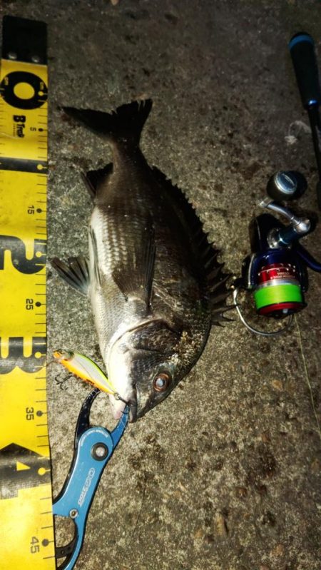 ぶら河川調査！