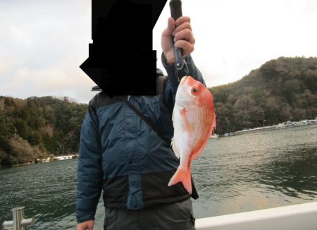 サゴシ狙いで連子鯛