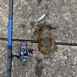 2度目のヤエン釣行