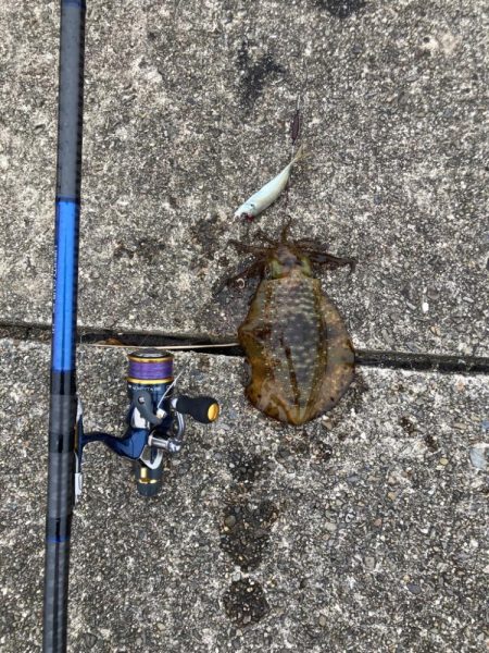 2度目のヤエン釣行