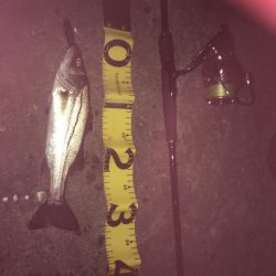 @悶絶のマイクロボイル