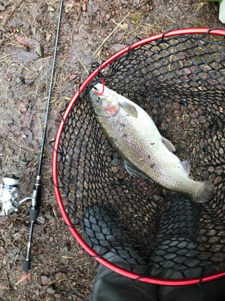 またもや庄原トラウト