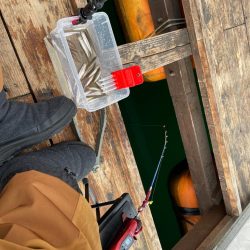 ワカサギ釣りにハマる 生野銀山湖