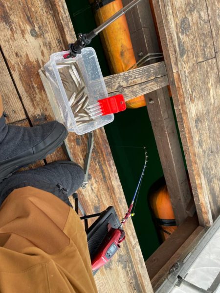 ワカサギ釣りにハマる 生野銀山湖