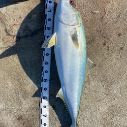 極寒、爆風の中・・・