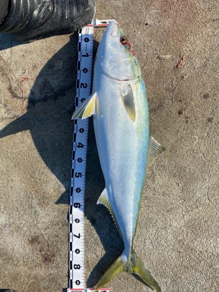 極寒、爆風の中・・・