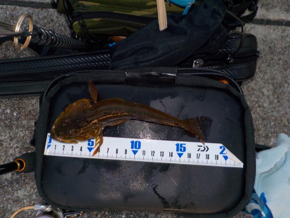 ナイトゲーム3目