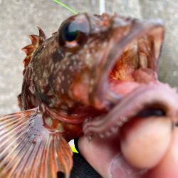 厳しい穴釣り#3