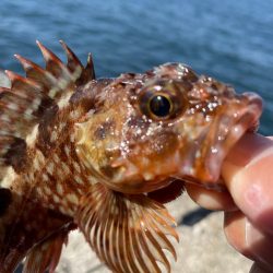 厳しい穴釣り#6