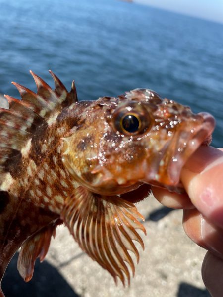 厳しい穴釣り#6