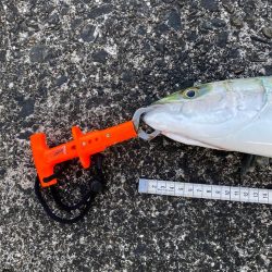 万次郎のポテンシャル