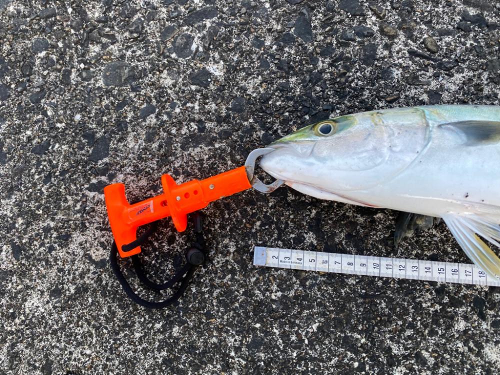 万次郎のポテンシャル