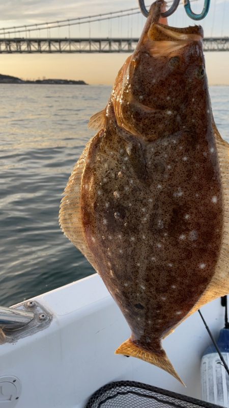 ヒラメ釣れました！