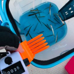 【熊本】竜門ダム(班蛇口湖)で雪降る中のワカサギ釣り