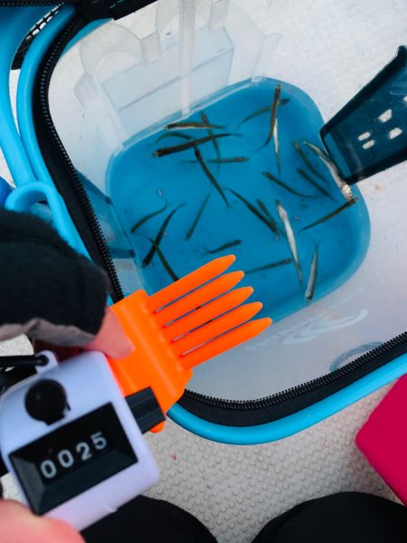 【熊本】竜門ダム(班蛇口湖)で雪降る中のワ…