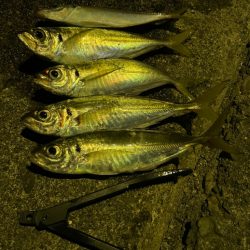 ボトムアジング！