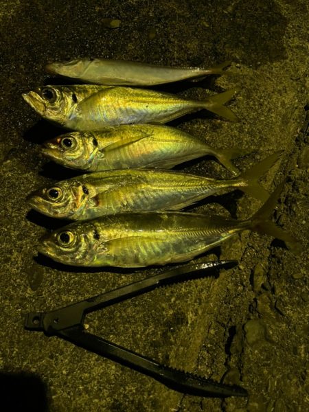 ボトムアジング！