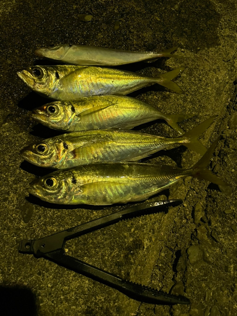 ボトムアジング！