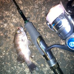 フロートメバリング