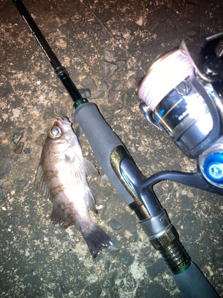 フロートメバリング