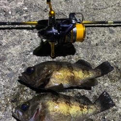 小磯でフロート