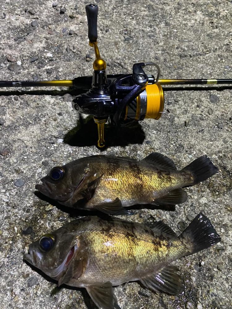 小磯でフロート