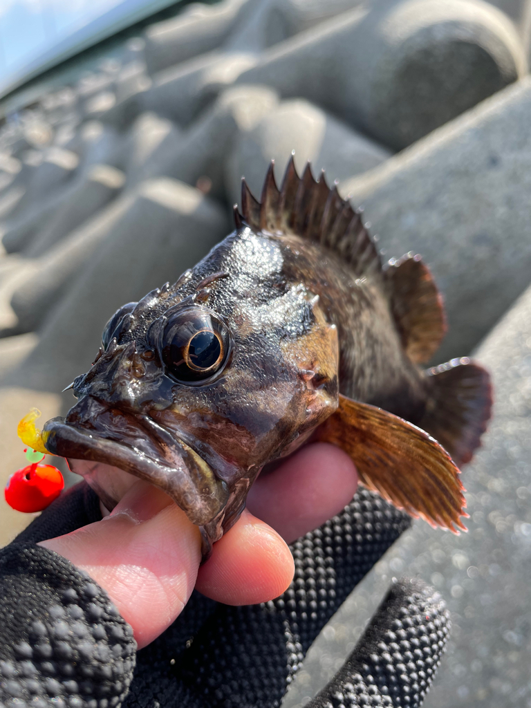 厳しい穴釣り#5