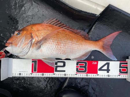 一つテンヤ釣行