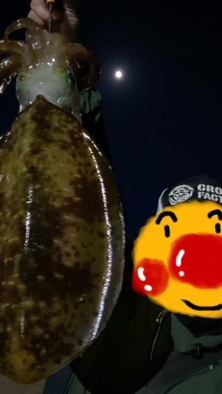 バレンタイン⭐︎アオリイカ