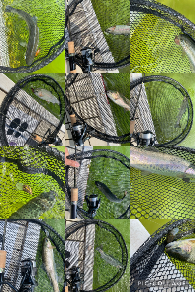 亀岡市　かめプー