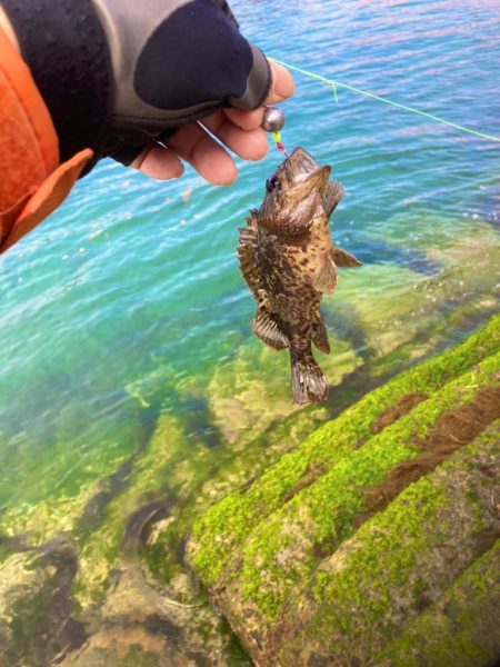 穴釣り 2022 三回目