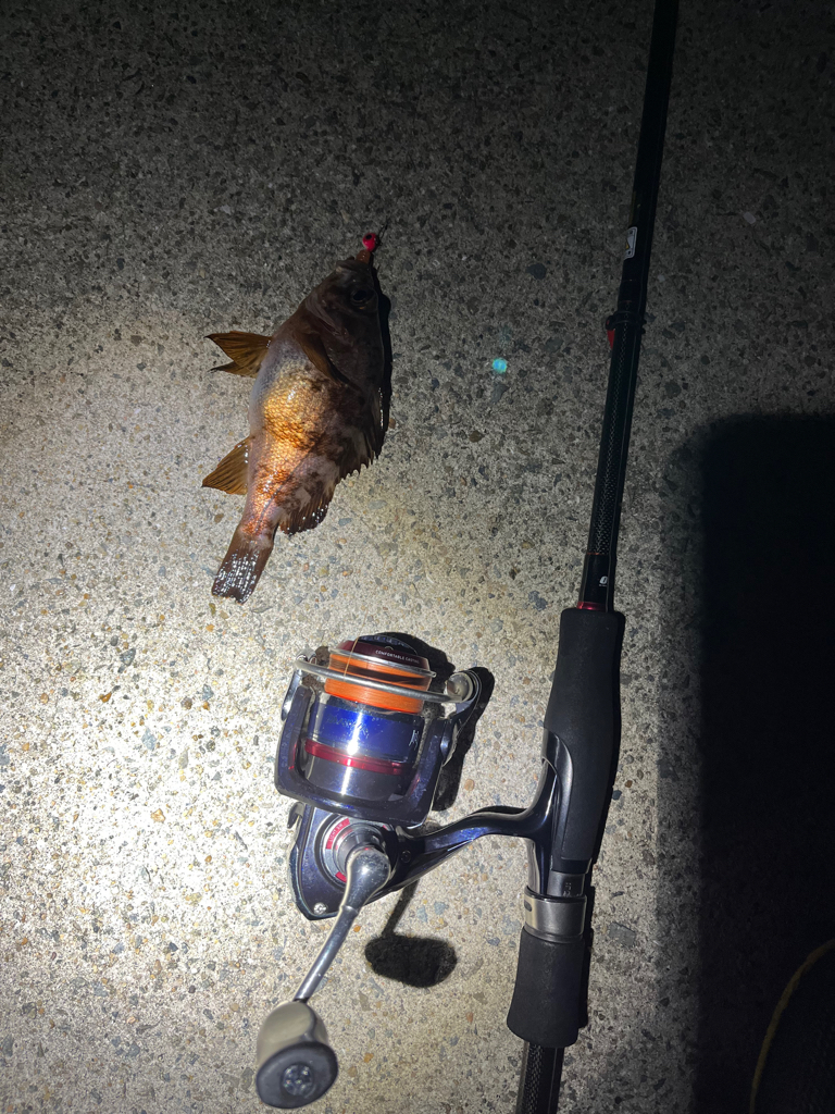 癒しのメバリング