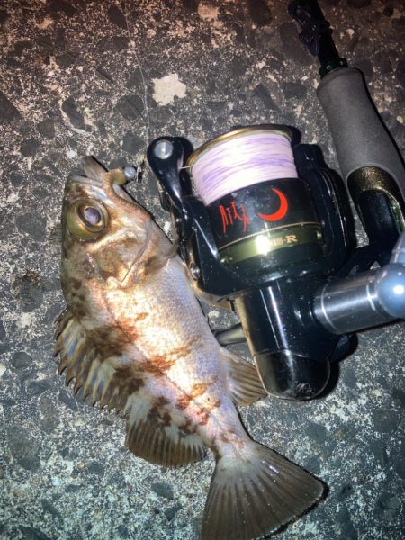 虫ヘッドでメバリング