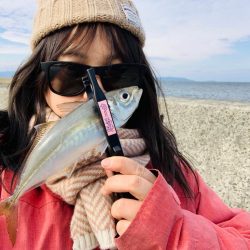 離島で良型アジをフカセ釣り