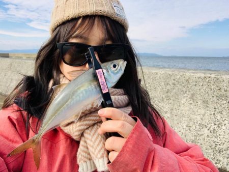 離島で良型アジをフカセ釣り